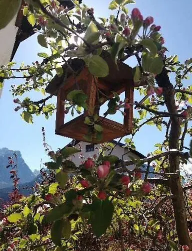 Residenze Dolomitiche La Casa Gialla Lejlighed Calalzo di Cadore