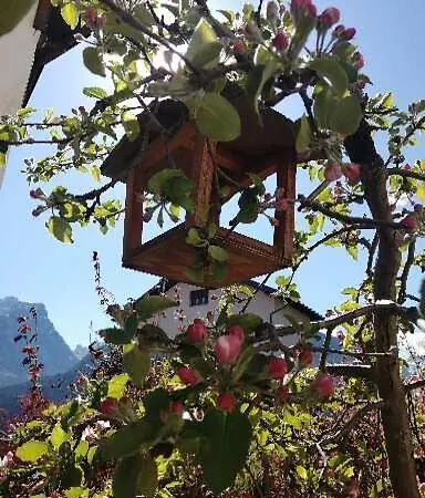 Residenze Dolomitiche La Casa Gialla Apartment Calalzo di Cadore